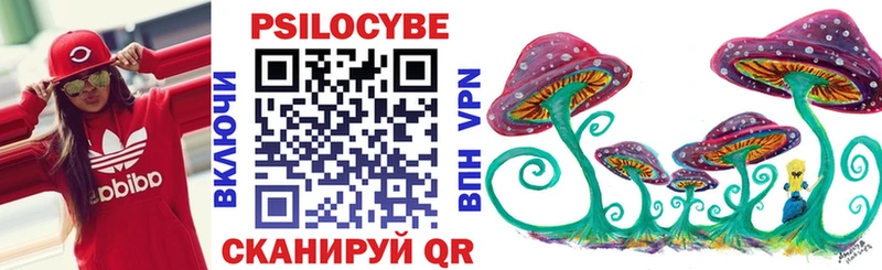 Псилоцибиновые грибы мицелий  купить закладку  Высоковск 